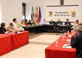 El Ayuntamiento de Arroyo de la Luz acoge el pleno anual del Consejo Económico y Social de Extremadura