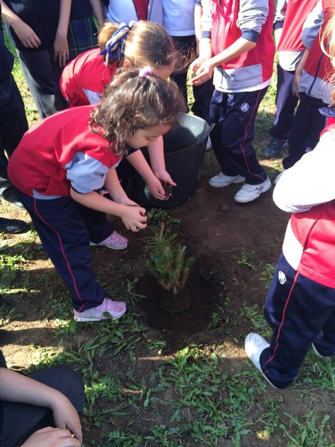 Niñas plantando árboles durante la actividad. 