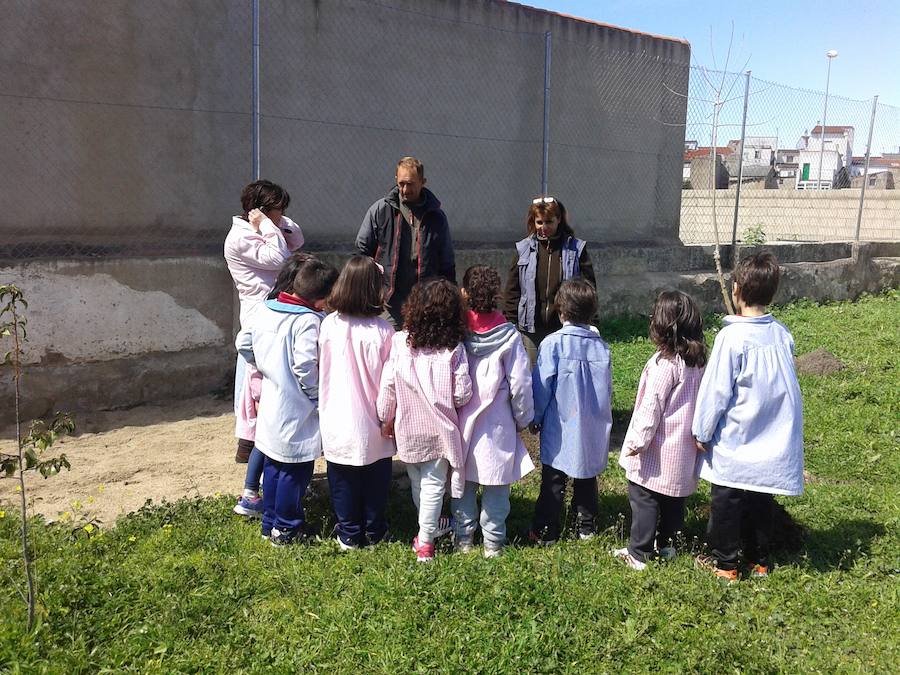 El Colegio Público Nuestra Señora de la Luz participó en la reforestación de zonas verdes