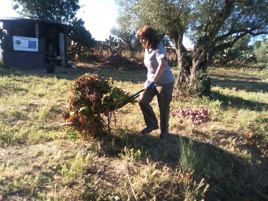 Programa de Formación Profesional @prendizext 'La luz', especialidad de Agricultura Ecológica. 