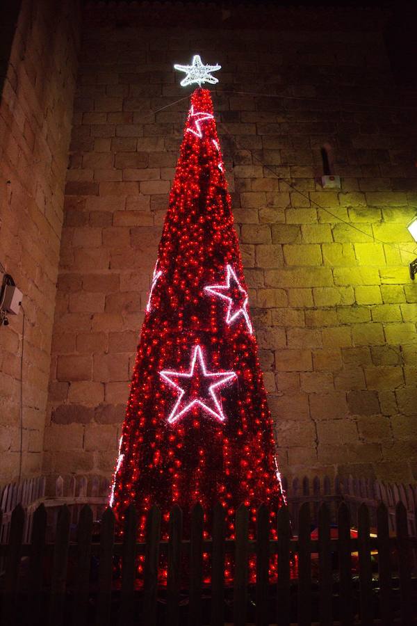 Árbol de navidad que adorna la Plaza de la Constitución 