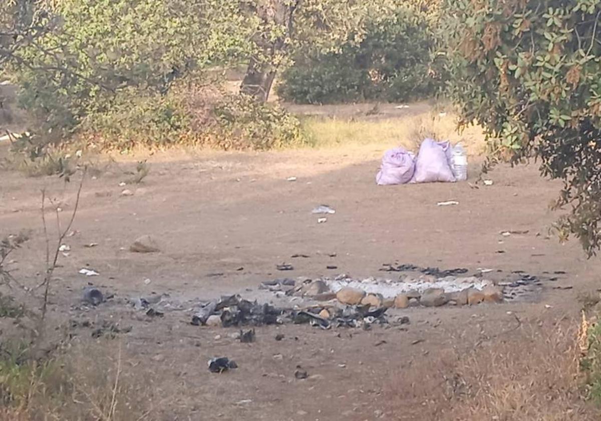 Aparecen daños en el parque de San Isidro y zonas cercanas al mismo
