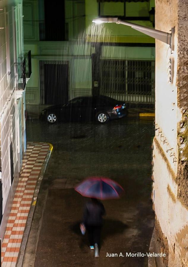 Fotos: Campanario desde la ventana