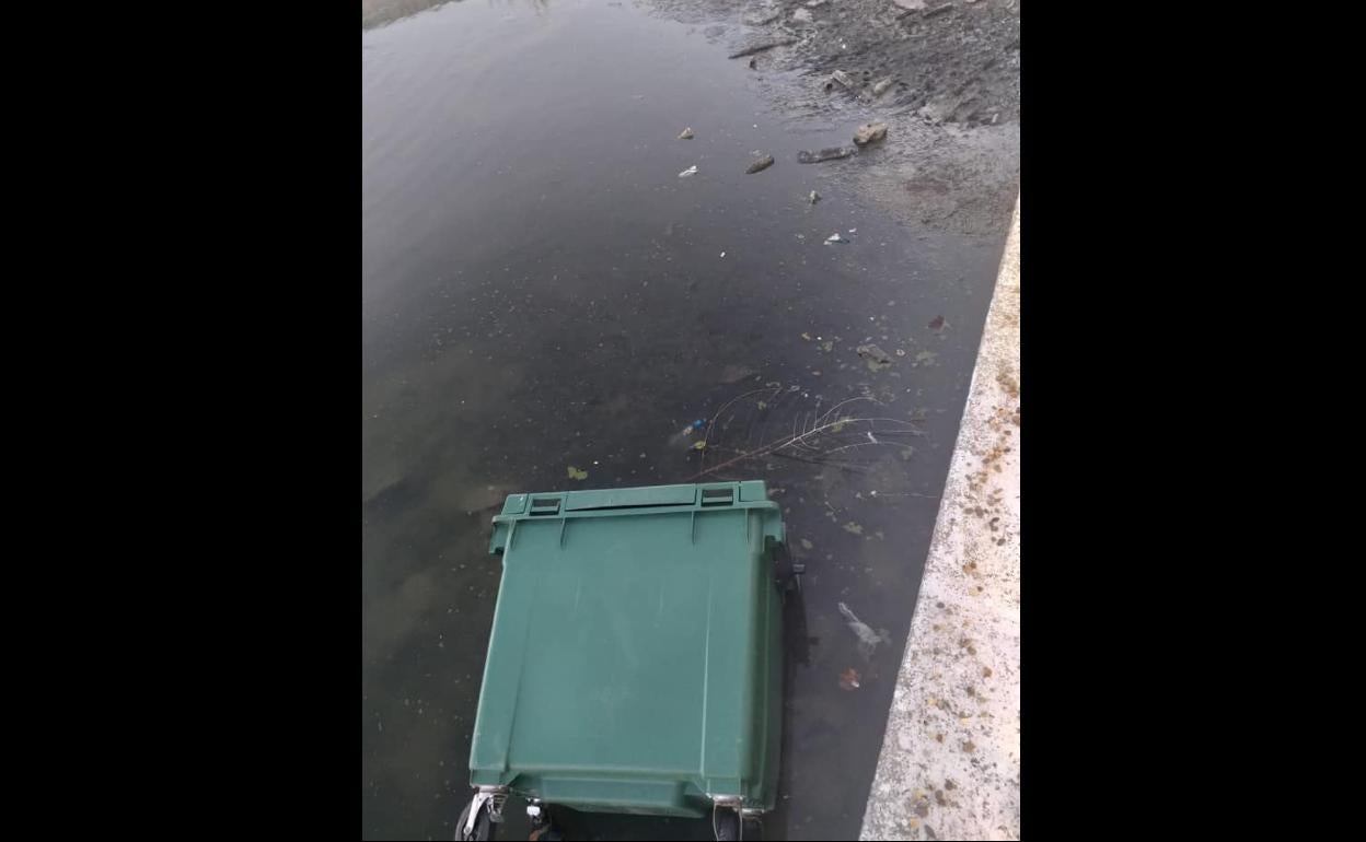 Un contenedor de la basura ha sido arrojado dentro de La Laguna