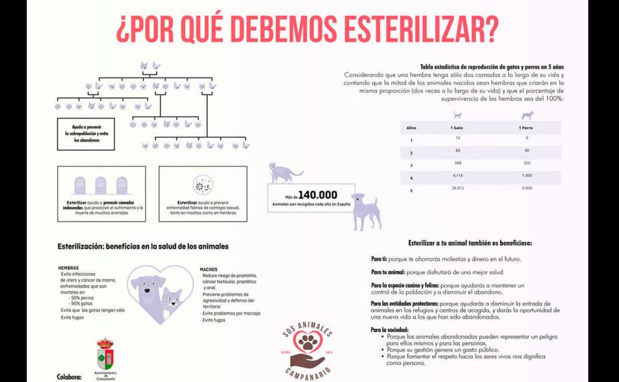 SOS Animales y el Ayuntamiento lanzan una campaña informativa sobre la esterilización de perros y gatos
