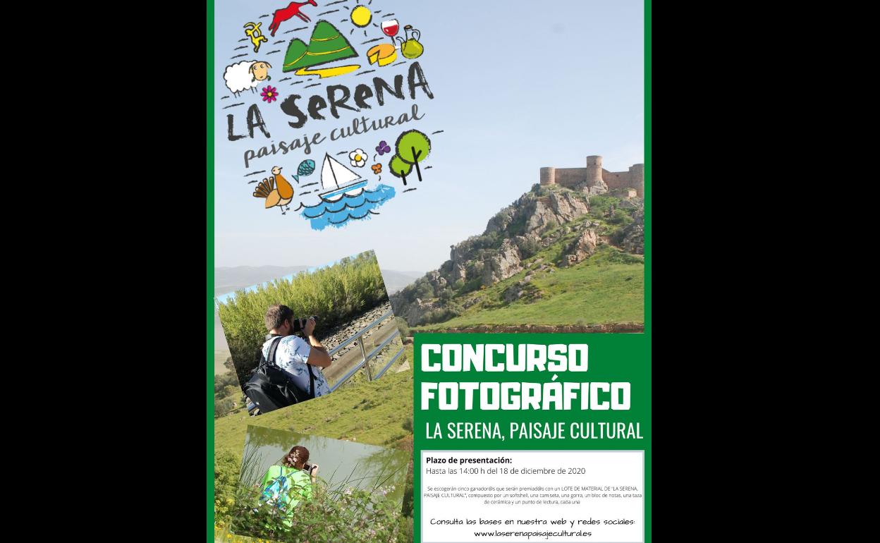 Cartel anunciador del certamen. 
