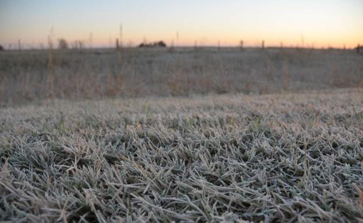 Este viernes podría nevar en Campanario