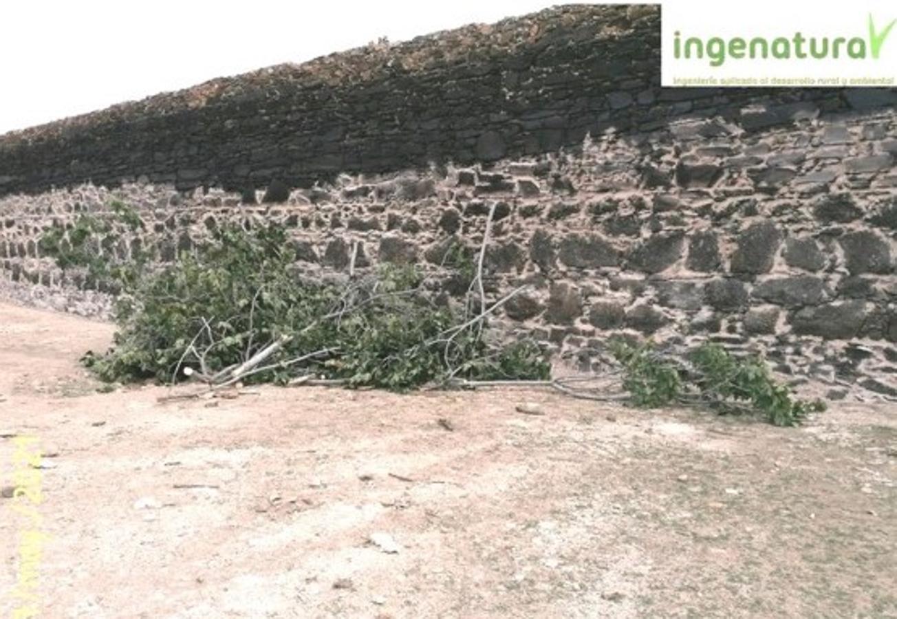 Rehabilitación de la Presa del Paredón y acondicionamiento del entorno. 