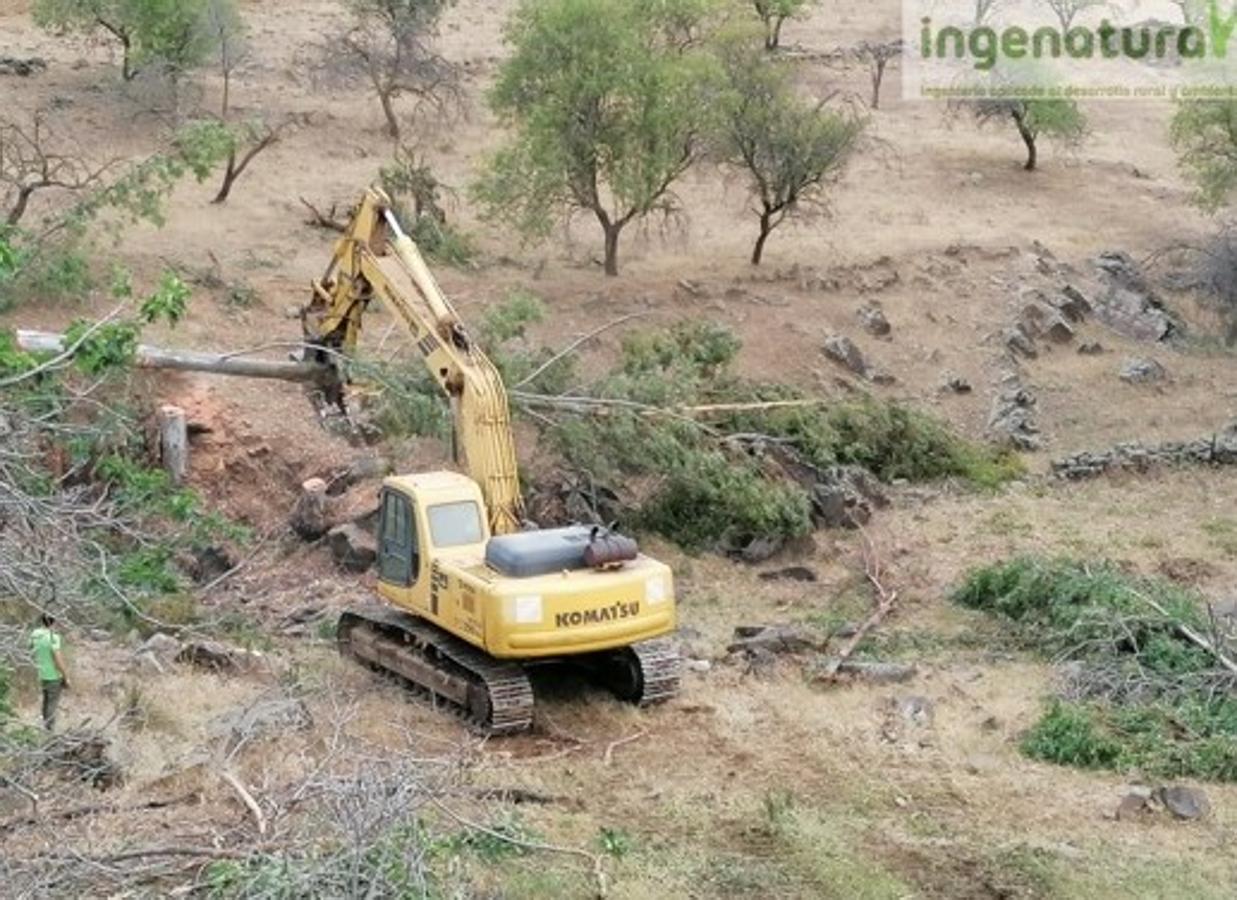 Rehabilitación de la Presa del Paredón y acondicionamiento del entorno. 