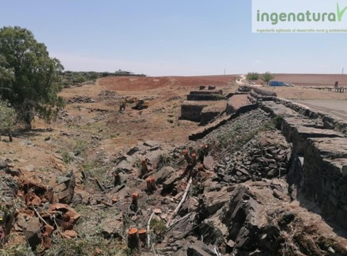 Rehabilitación de la Presa del Paredón y acondicionamiento del entorno. 