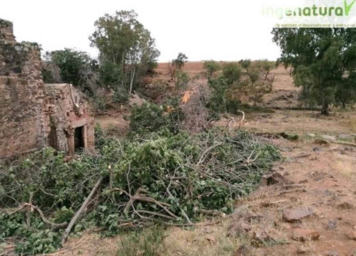 Rehabilitación de la Presa del Paredón y acondicionamiento del entorno. 