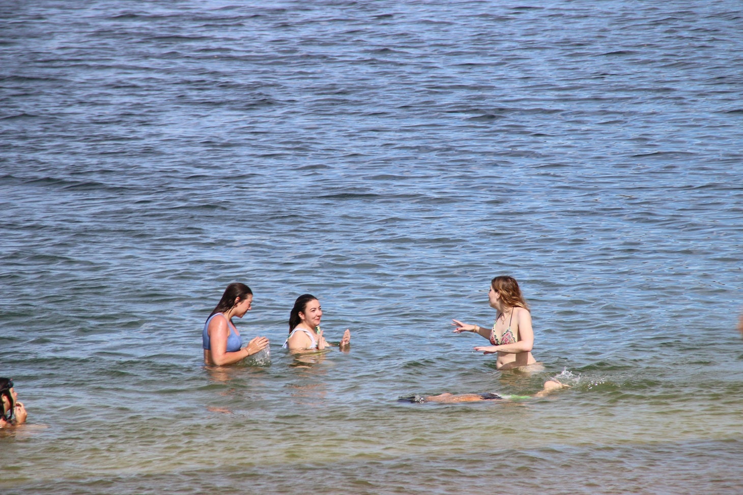 Playa Costa Alegre de Campanario en el Pantano de Orellana. 