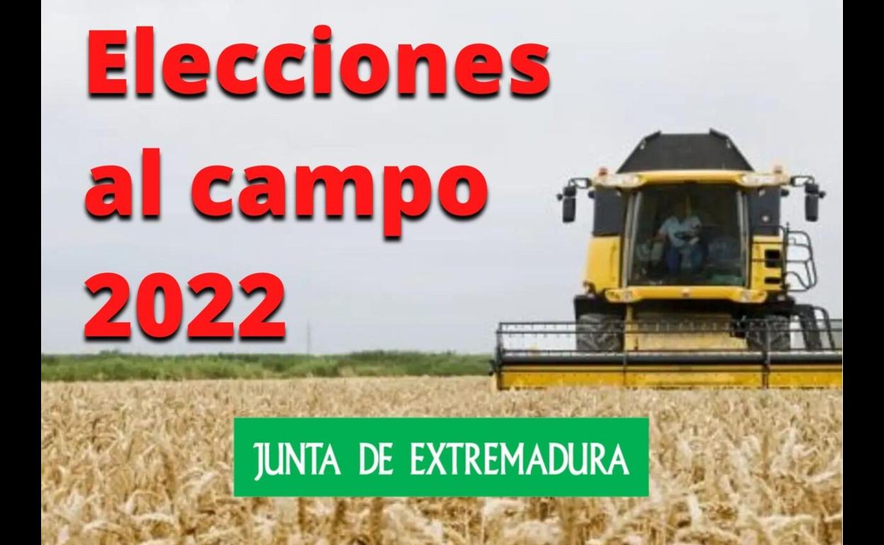 El censo provisional agrario para las elecciones al campo se puede consultar en el Ayuntamiento
