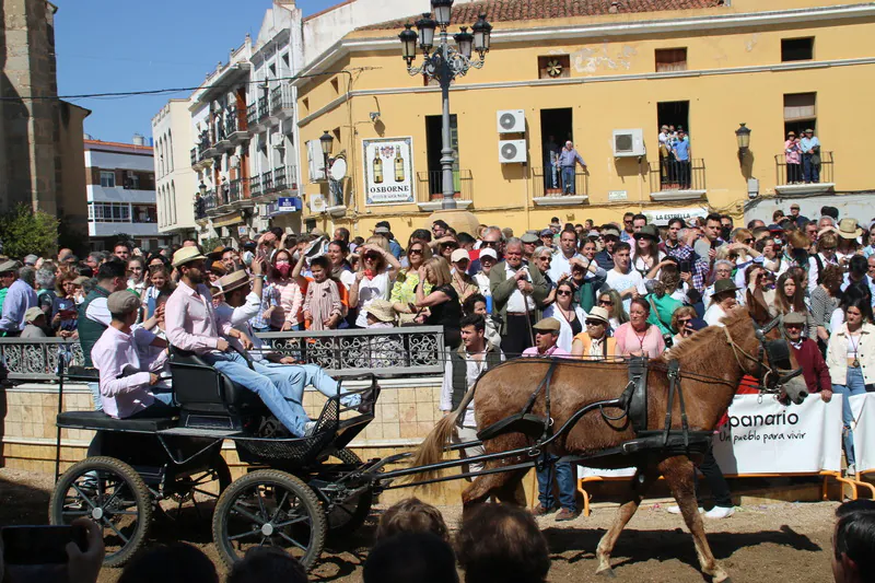 Desfile de caballos, jinetes y amazonas en la Plaza de España de Campanario.