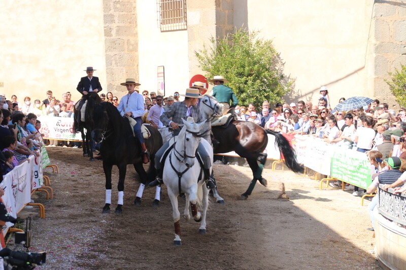 Desfile de caballos, jinetes y amazonas en la Plaza de España de Campanario.