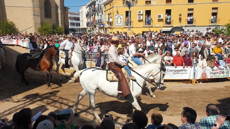 Desfile de caballos, jinetes y amazonas en la Plaza de España de Campanario.