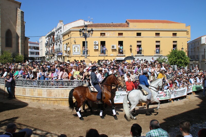 Desfile de caballos, jinetes y amazonas en la Plaza de España de Campanario.