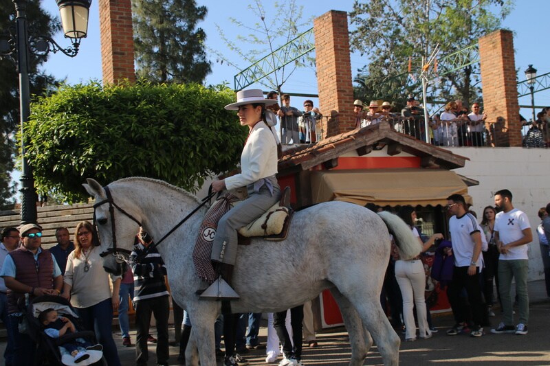 Desfile de caballos, jinetes y amazonas en la Plaza de España de Campanario.