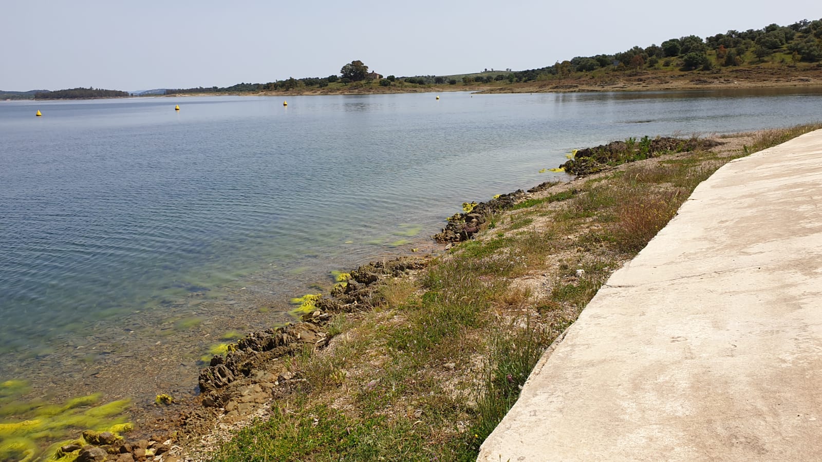 El nivel del agua del pantano ha bajado bastante debido a la sequía. 