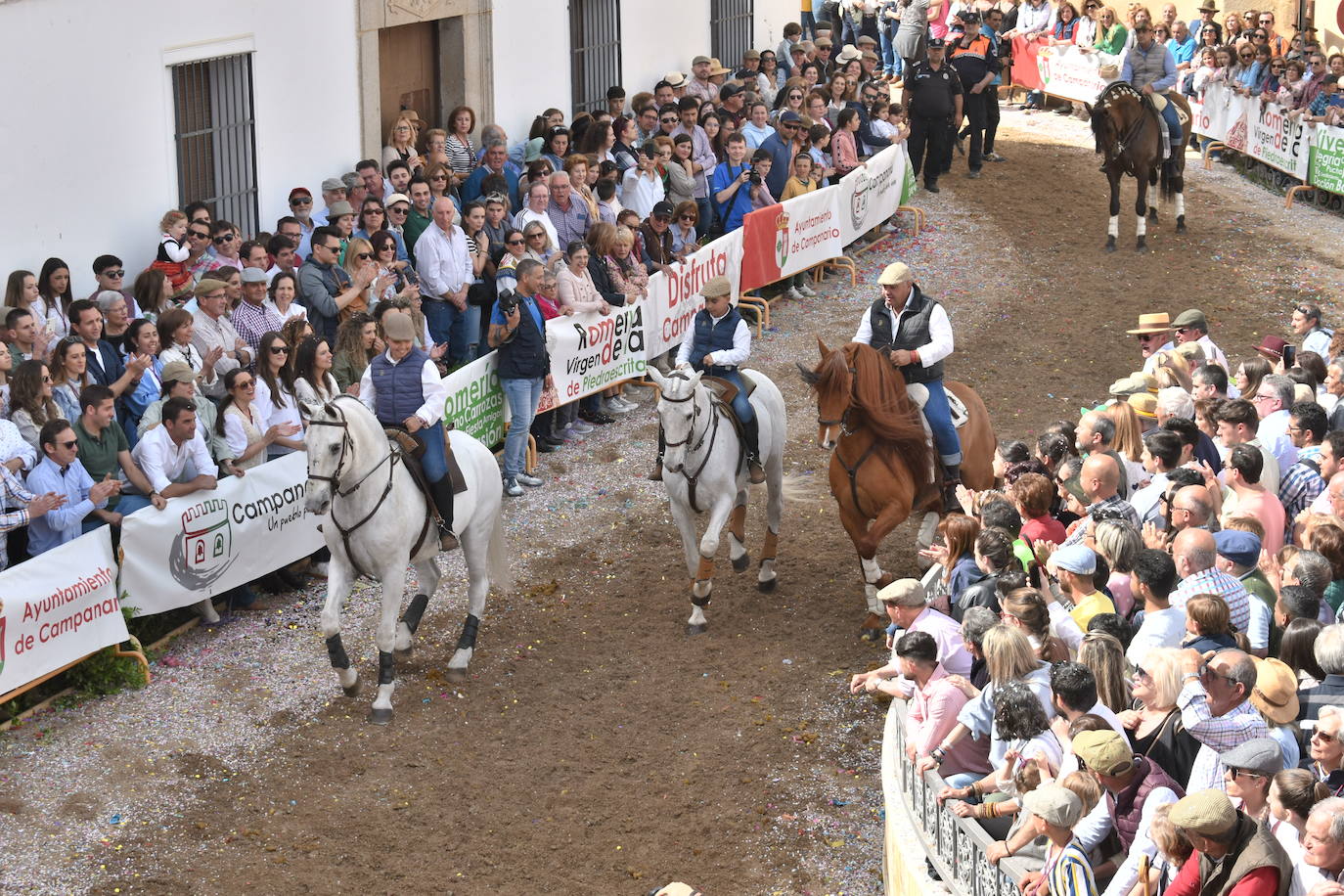 Fotos Desfile de carrozas y caballerías Romería de Piedraescrita 2023