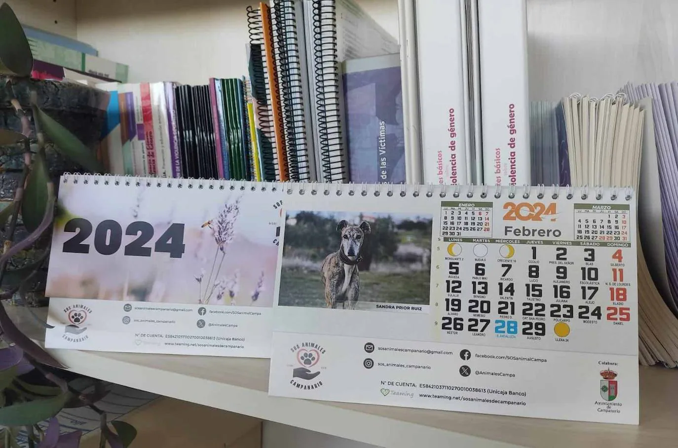 Ya a la venta el calendario solidario de SOS Animales Campanario 2024