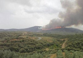 Comienza la época de peligro alto de incendios