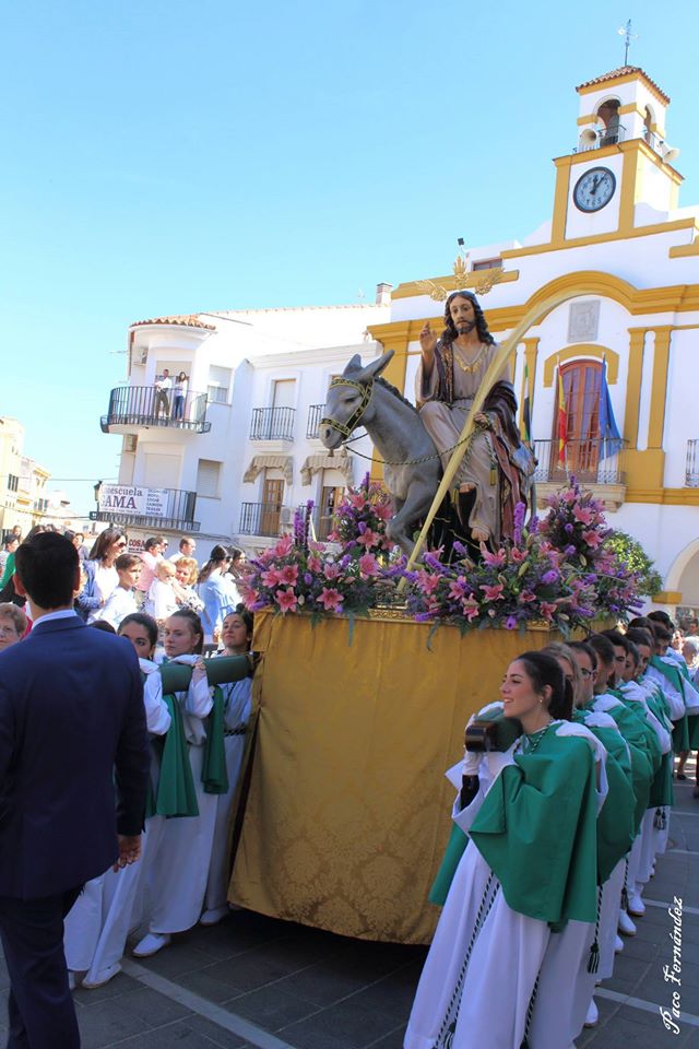 Radiante procesión del 'Burrito' para abrir la Semana Santa