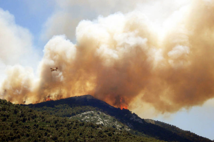 Arden los árboles, arde la vida