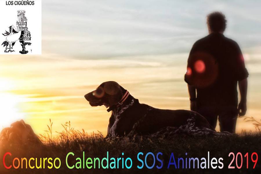 SOS Animales de Campanario busca fotografías para su calendario 2019