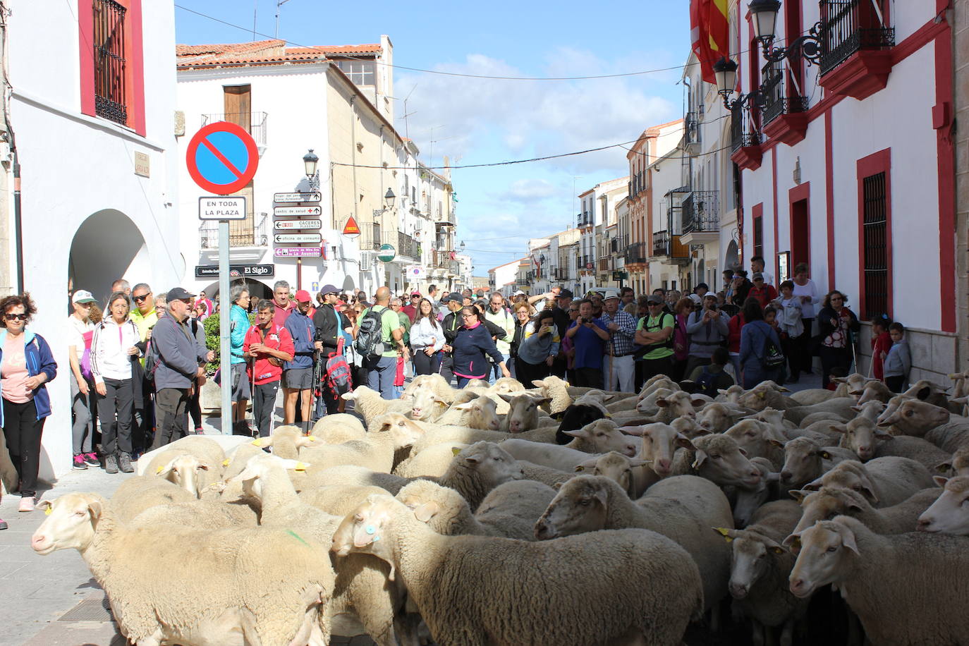 Durante una semana se llevarán a cabo distintas actividades sobre la cultura quesera y pastoril. 
