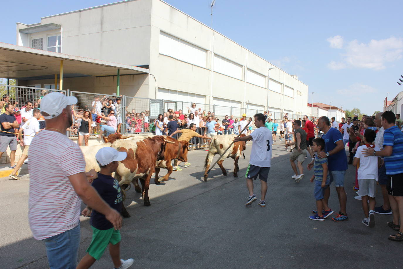 El encuentro ha tenido lugar esta mañana en Ronda de Los Llanos. 