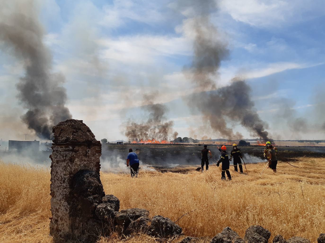 Aparatoso incendio de pastos en varias parcelas de la Portá Blanca