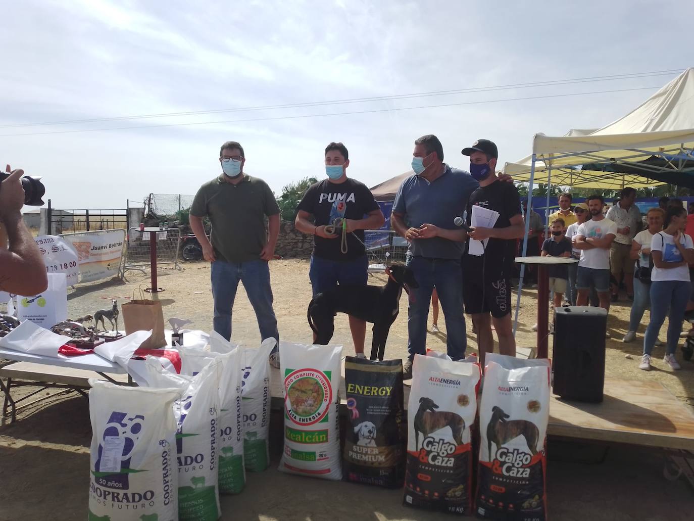 Imagen principal - 94 galgos de distintas provincias asisten a las carreras del Ramo