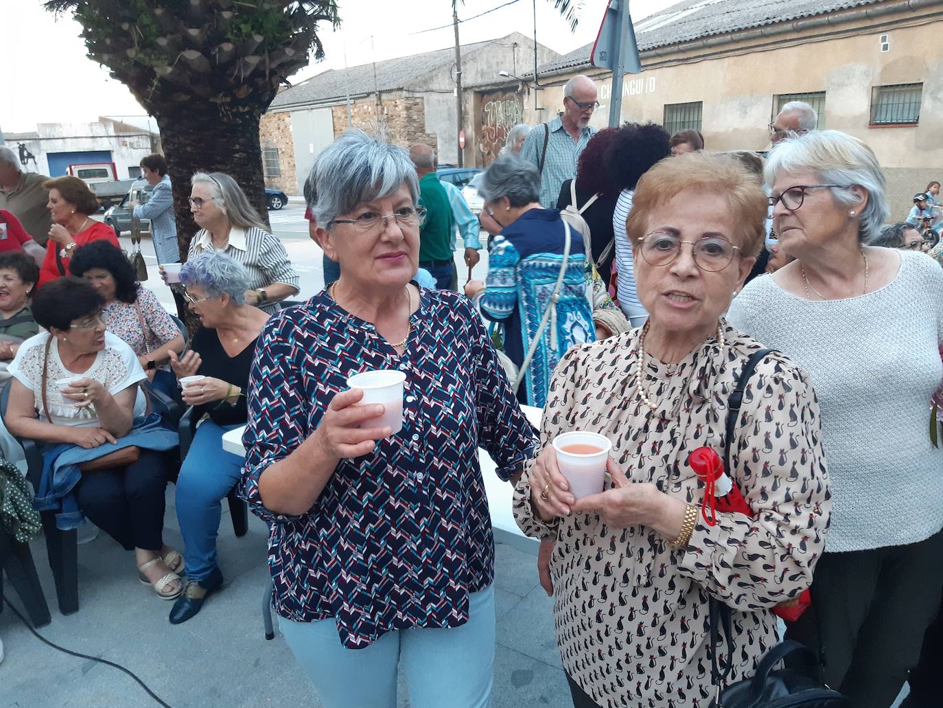 Imagen secundaria 2 - Dos olivos abrazados simbolizan el amor y la amistad del pueblo casareño