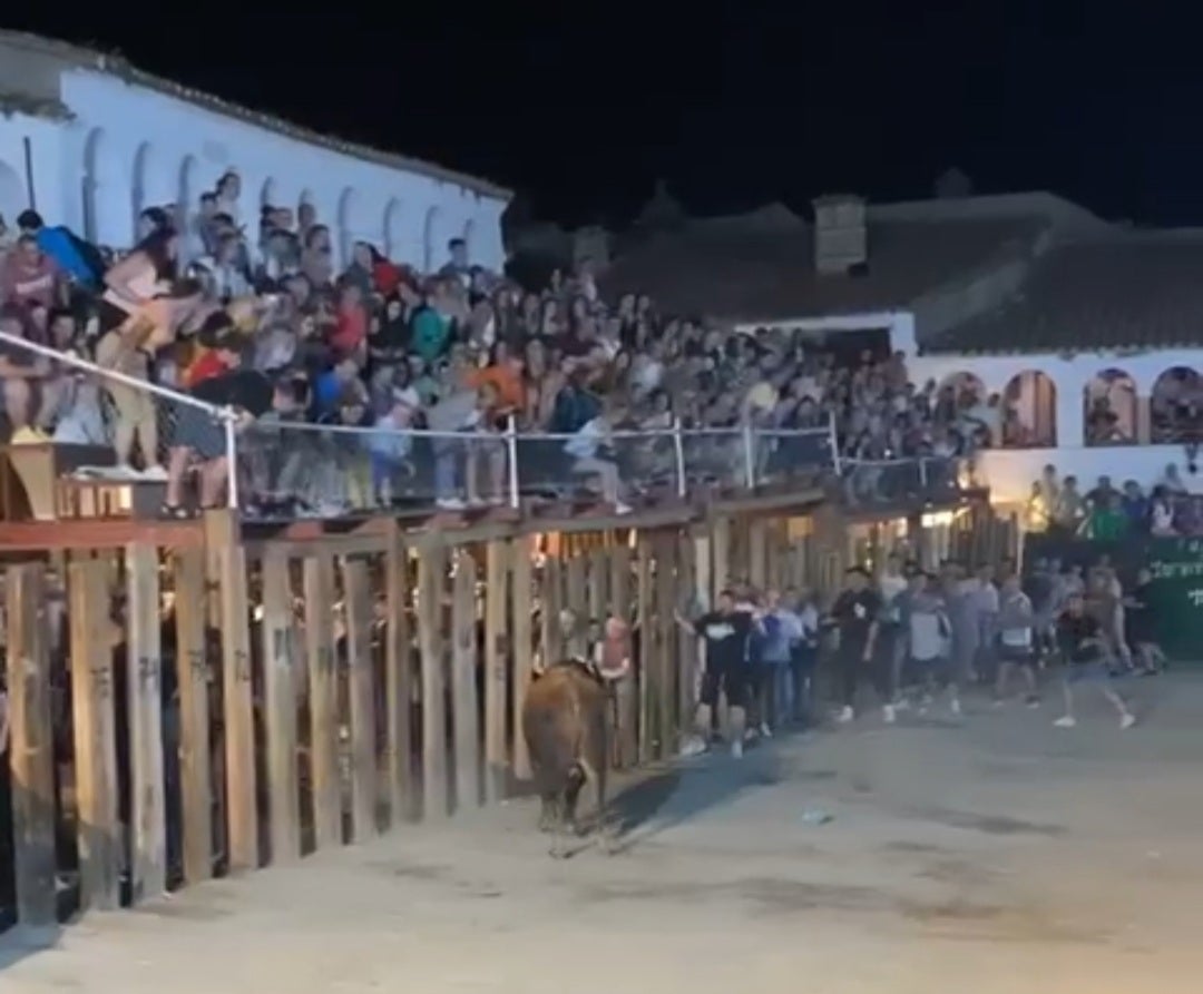 En estado grave el vecino casareño herido por asta de toro en las fiestas de Garrovillas de Alconétar
