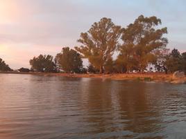 En el Pantano Viejo se dejarán de pescar carpar y carpines.