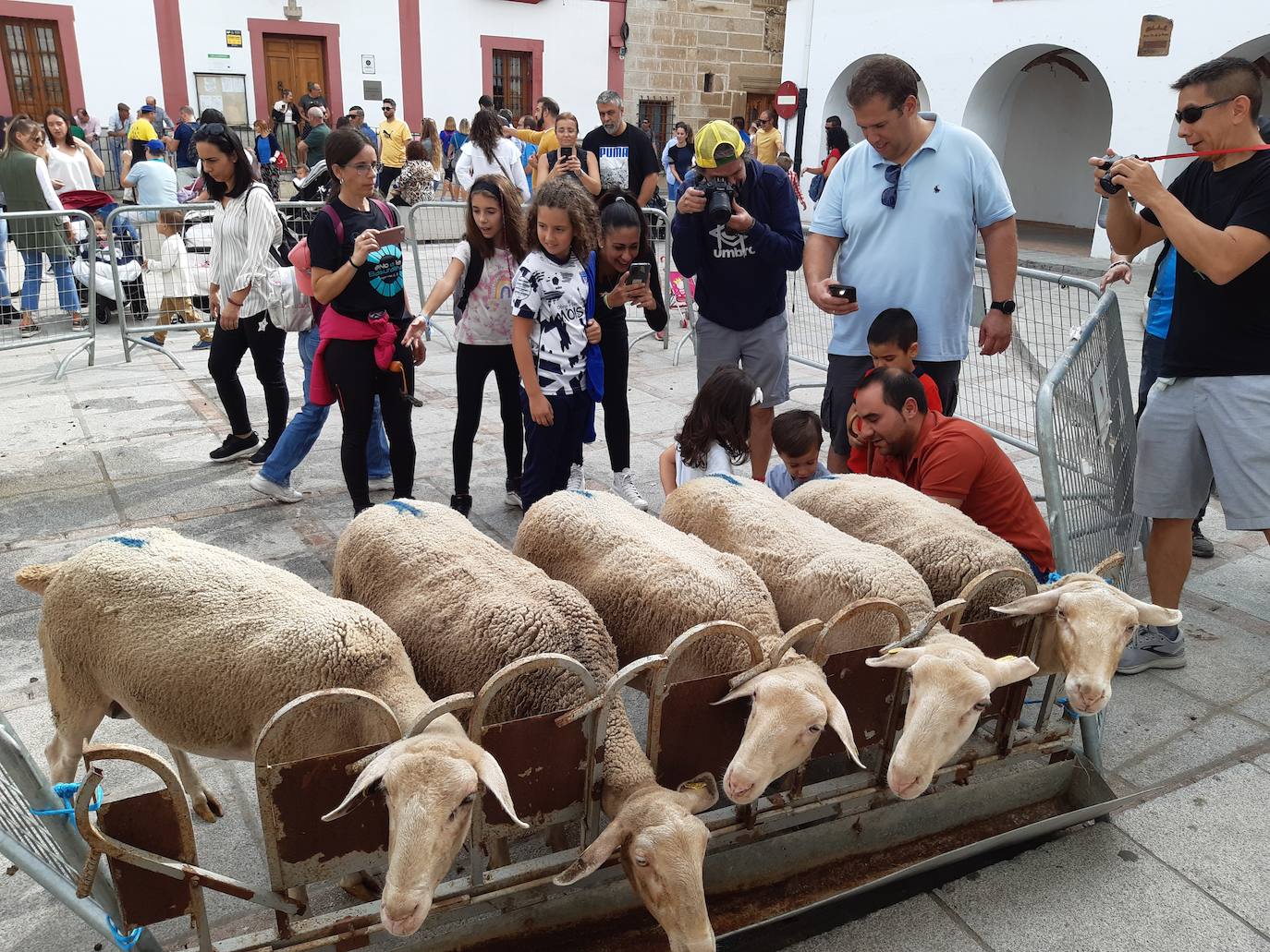 El queso úne en Casar de Cáceres a miles de personas