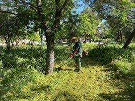Un trabajador del área de Jardines, ayer, desbrozando el parque de José Cortés.