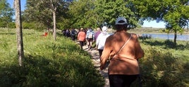 Promueven varias actividades para mejorar la actividad física y hábitos saludables de los mayores