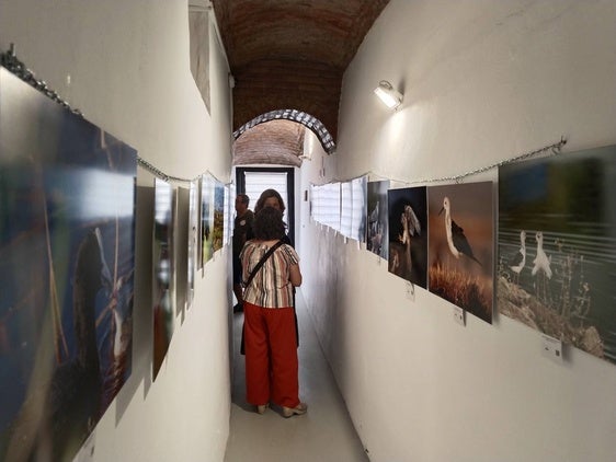 Las paredes del Museo del Queso se llenan de fotografías de paisajes y fauna extremeña