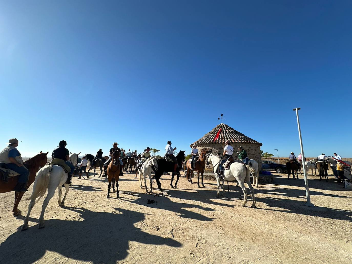 Imagen principal - Casar de Cáceres acoge por primera vez un encierro de bueyes mansos
