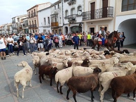 Las inscripciones para la Ruta trashumante podrán realizarse hasta el sábado