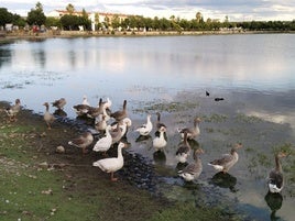 Organizan una nueva jornada de recogida de residuos por la zona de La Charca