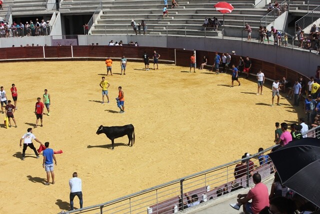 El cartel taurino del Ramo contará con un festival el 2 de septiembre, pero se elimina la capea del día de fiesta local