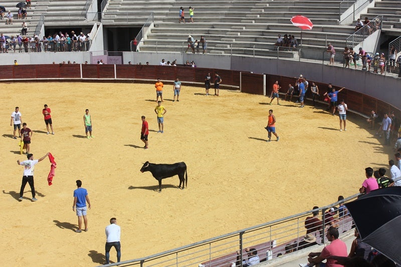 El plazo para el concurso del contrato taurino del Ramo finaliza mañana