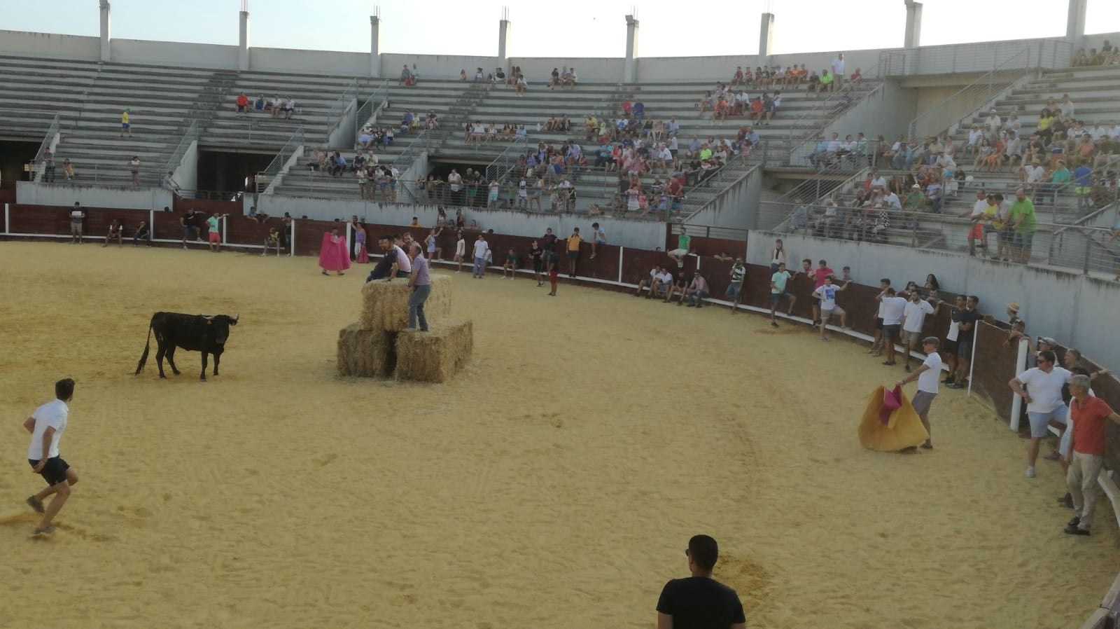 El Festival taurino será esta tarde y el concurso de recortes mañana