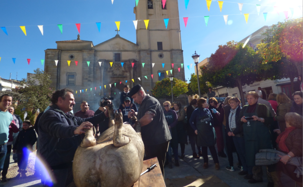 Éxito de participación en la VII matanza didáctica
