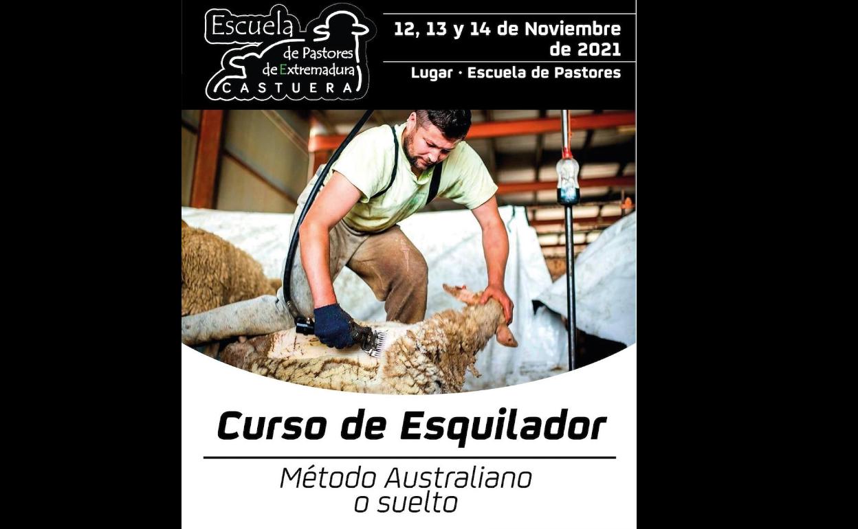 La Escuela de Pastores organiza un curso de 'Esquilador'