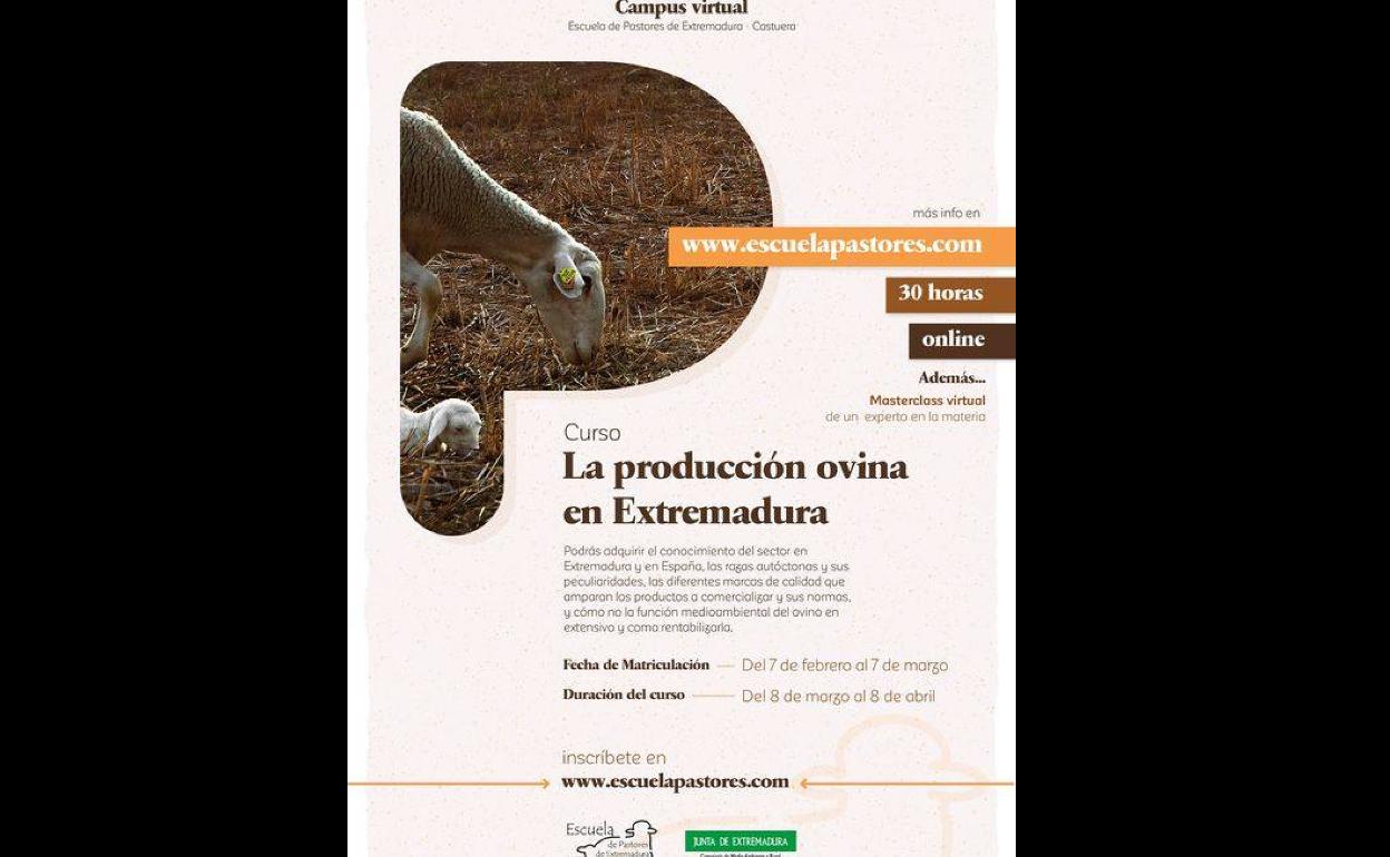 Curso 'La producción ovina en Extremadura'. Campus Virtual Escuela de Pastores de Extremadura
