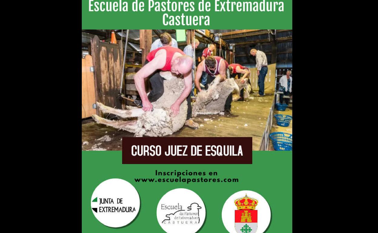 La Escuela de Pastores de Extremadura organiza un curso de 'Juez de Esquila'